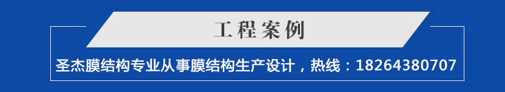 膜结构客户案例